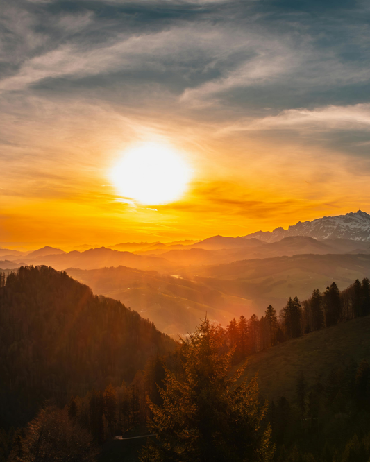 Harz Hotelgutschein - 3, 7 oder 14 Nächte für 2 Personen im DZ